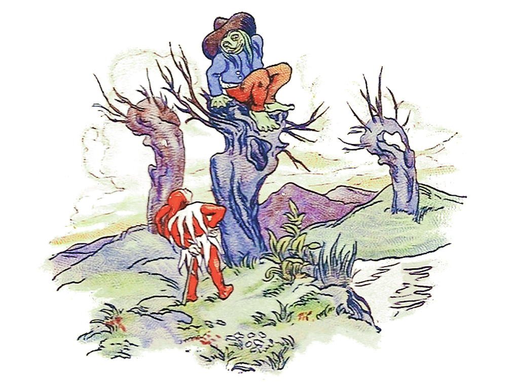 Ka�p�rek u vodn�ka